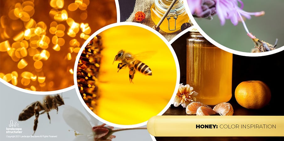 Collage of images including honey, bees and amber-colored liquid to show inspiration for the "honey" paint color.