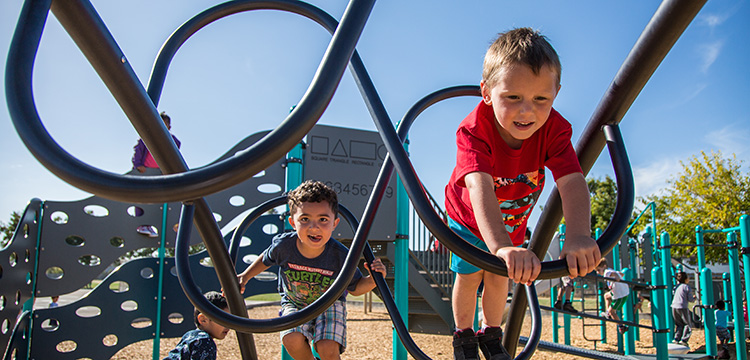Playground Components