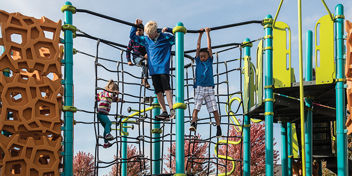 GeoPlex Labyrinth Climber