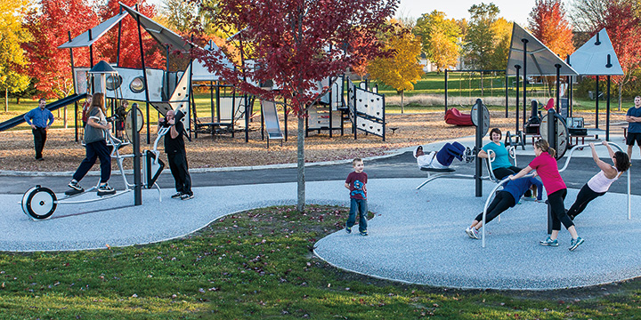 playground equipment for adults
