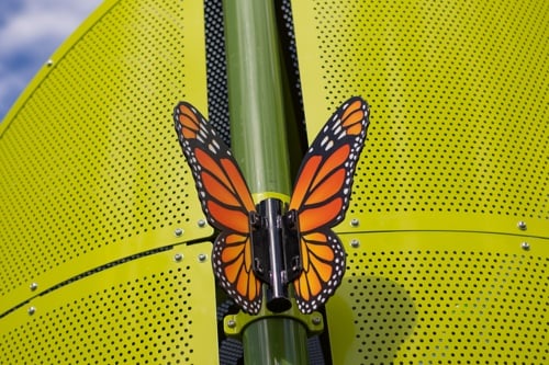Digifuse butterfly perched on playground post