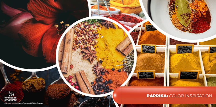 Collage of images showing yellow, orange and red spices.