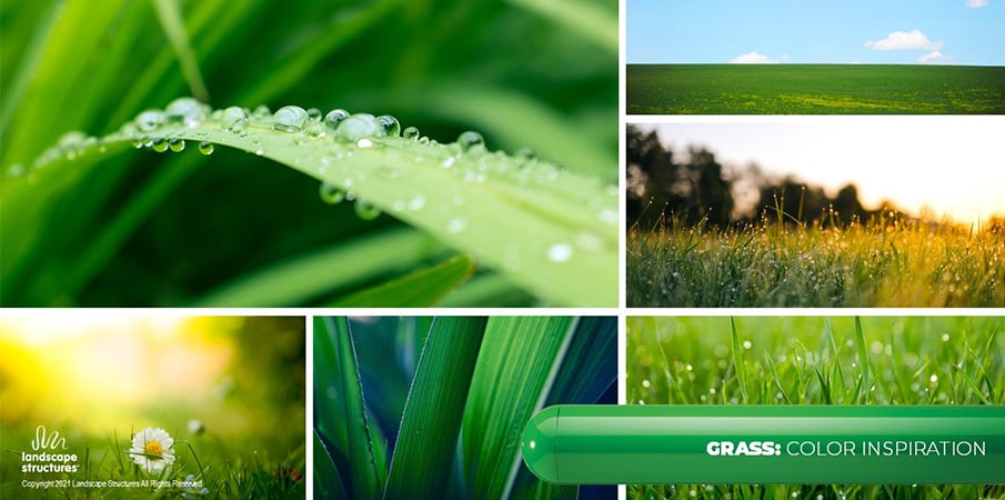 Collage of images of blades of green grass and lush prairies to showcase the inspiration for the "grass" paint color.