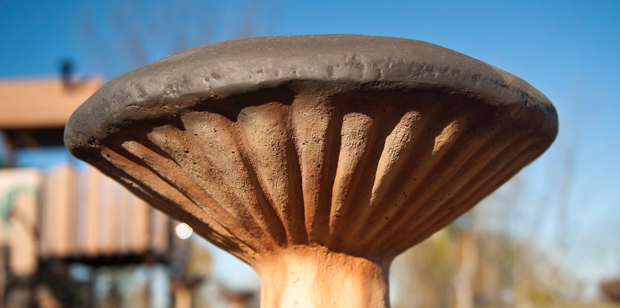 Close up of mushroom stepper.