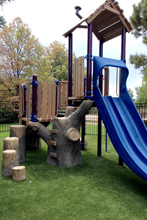 A playstructure with a blue double slide and a climber that looks like a tree with tree stump steppers leading up to the deck. 